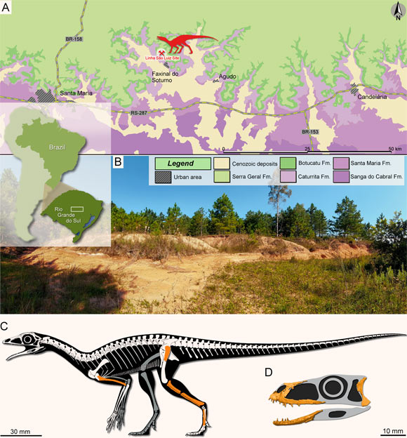 A pteroszauruszok evolúciója – TudományPláza